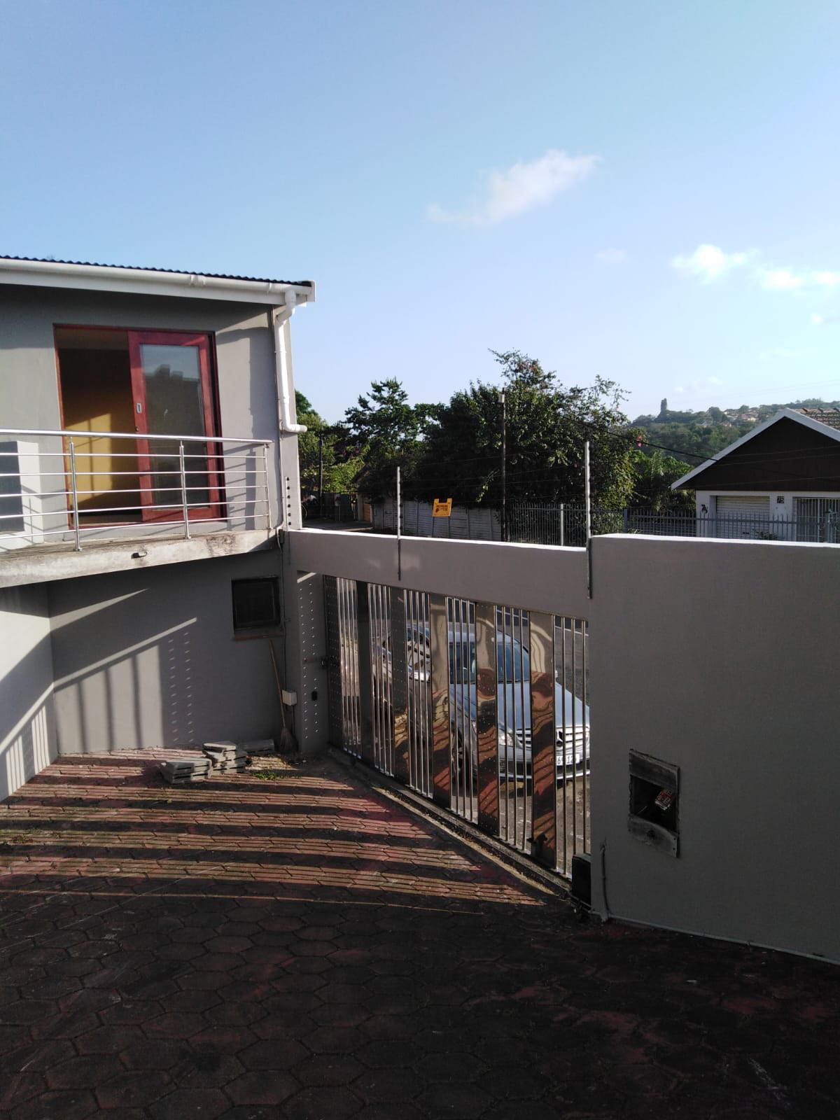 The Ultimate Guide To Ant Heights: Species By Species - a6fhsli