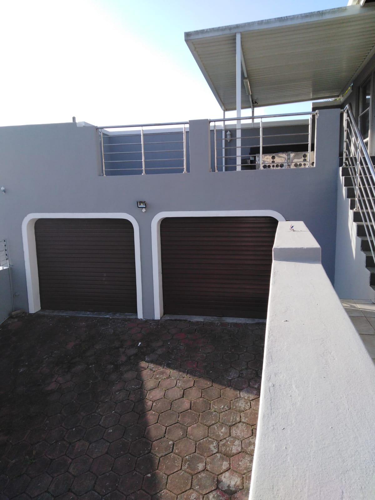 The Ultimate Guide To Ant Heights: Species By Species - eqkmgyu