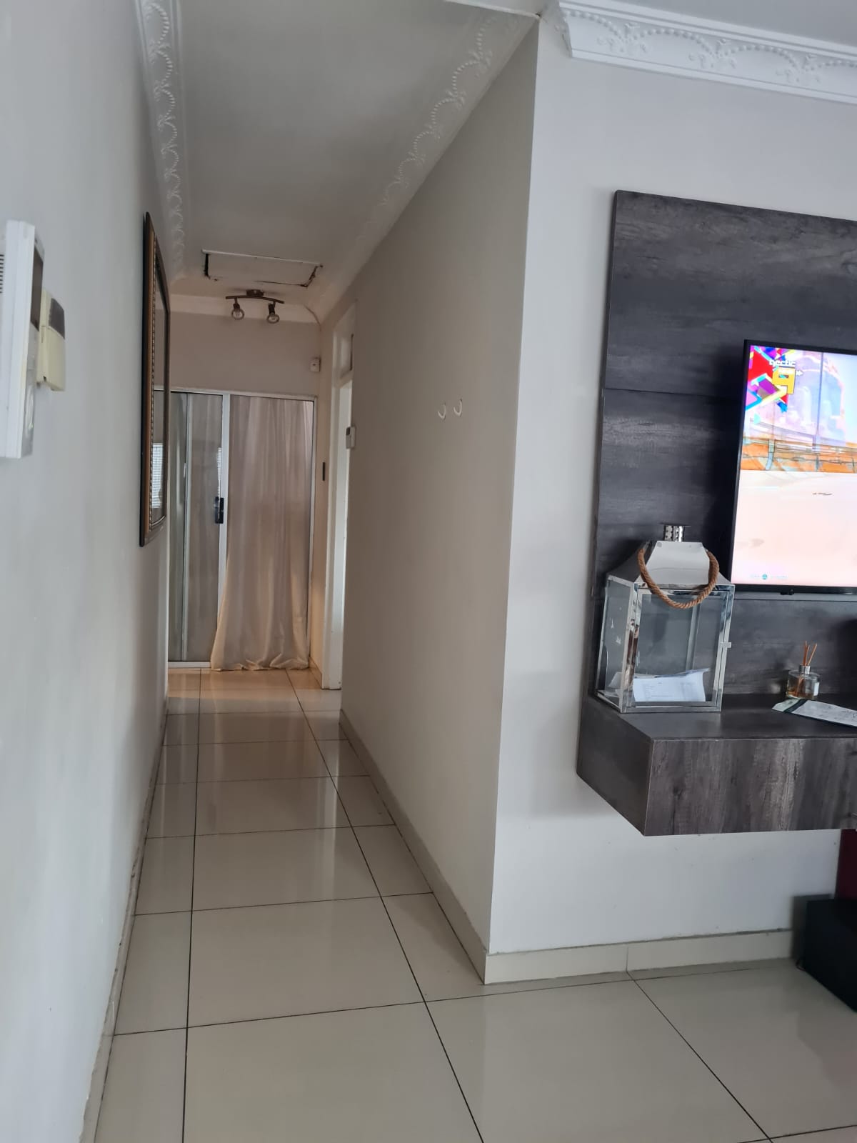 The Ultimate Guide To Ant Heights: Species By Species - el3k7n5