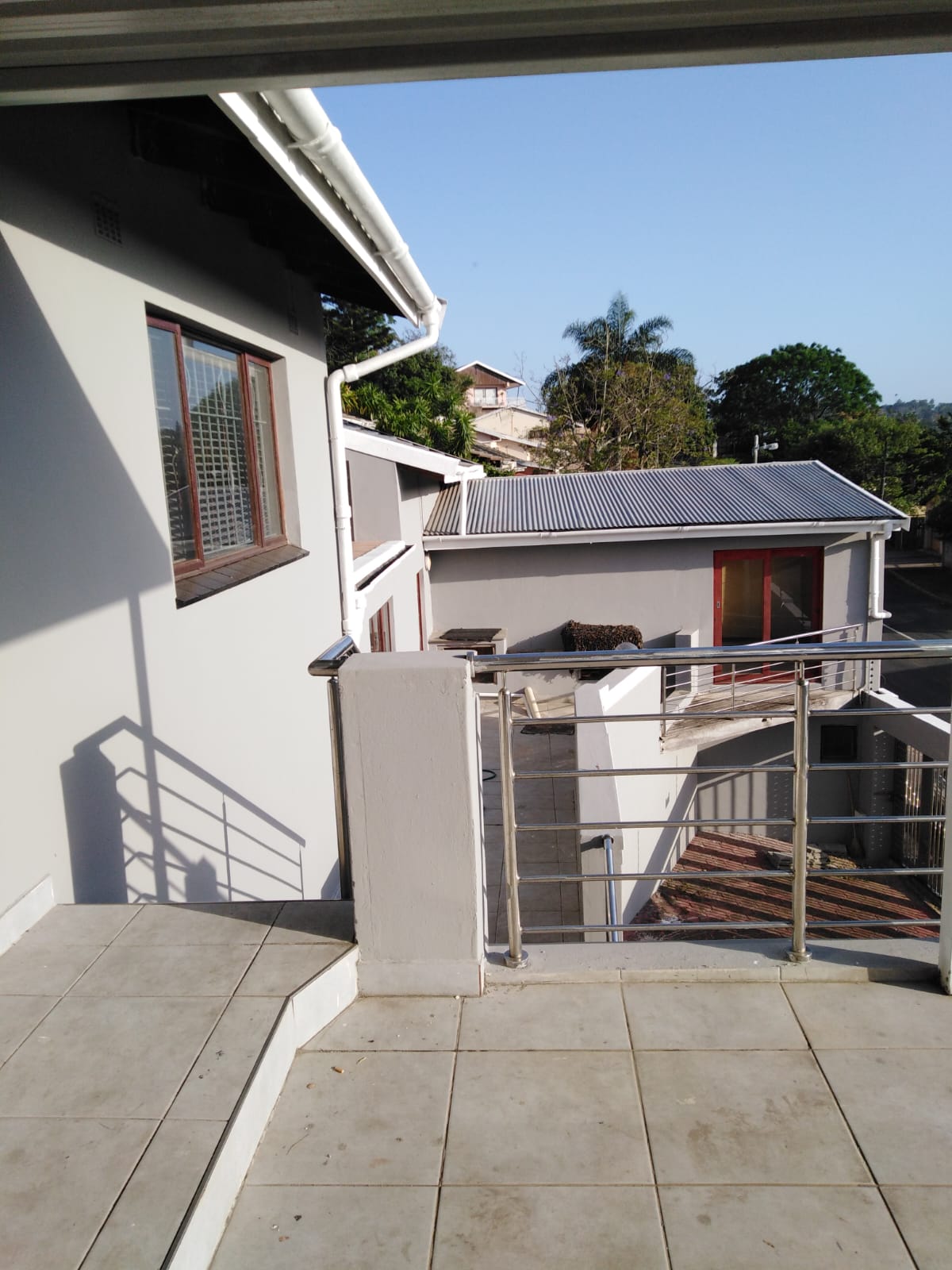 The Ultimate Guide To Ant Heights: Species By Species - ks3q0z7